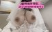健身婊 – [含新增] 肥臀巨乳野外露出调教 [863PnV-3.23G] 持续更新中 百度云