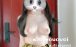 椰椰小猫@iyouovoi – 新作 [520门槛] 17分钟 白虎萝莉福利订阅 [2P3V-1.33G] 持续更新中 百度云